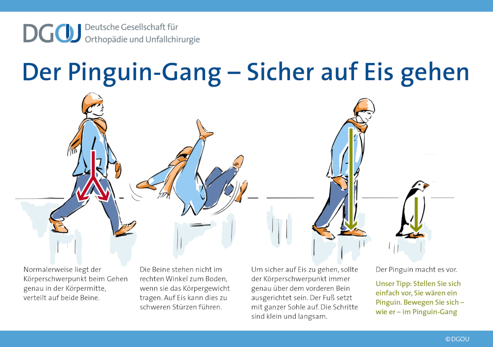 Pinguin Gang