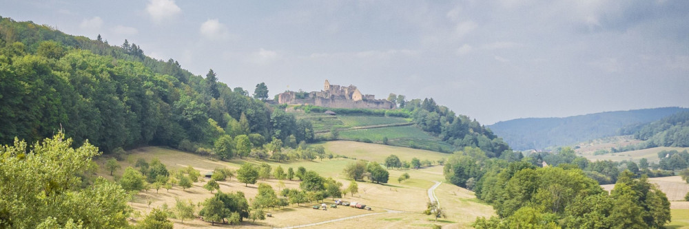Auf dem Weg zur klimaangepassten Landschaft