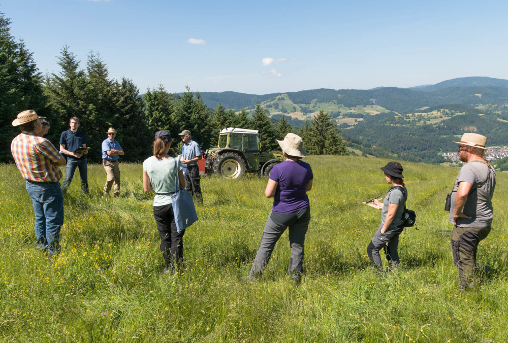 Zeigt her eure Weiden – artenreiches Grünland gesucht