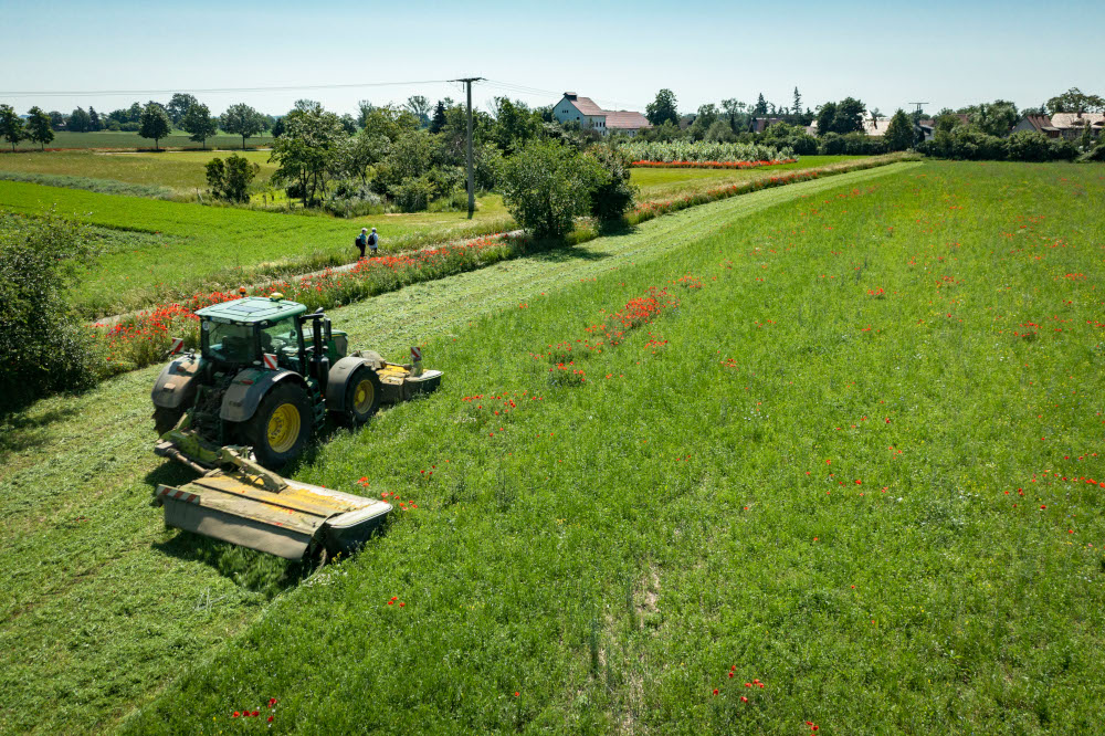 Vielfältiges Fachprogramm der Öko-Feldtage online