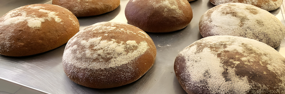 Brot der Zukunft: So wird Weizenbrot noch nährstoffreicher