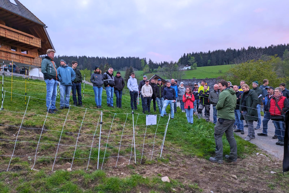Großer Weideabend in St. Märgen: Technik im Zaunbau