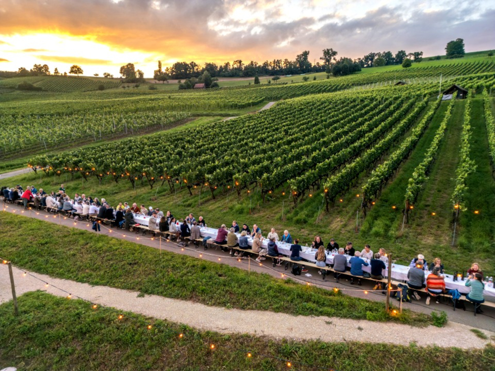 Schaffhauser Tavolata – Genuss am langen Tisch im Rebberg