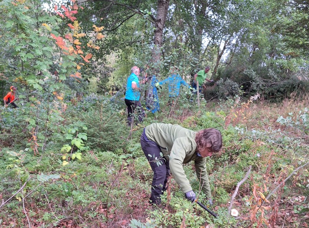 Landschaftspflegetag Dachsberg