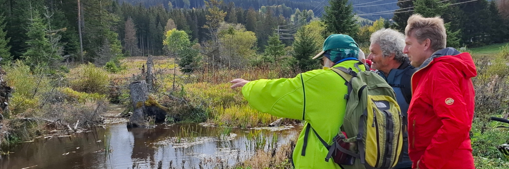 Natur erleben, Biber entdecken