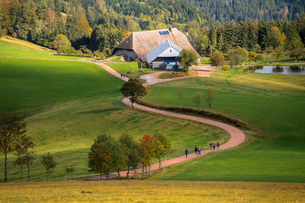 Die Ferienregion Hochschwarzwald ist erneut als Premium-Wanderregion ausgezeichnet worden