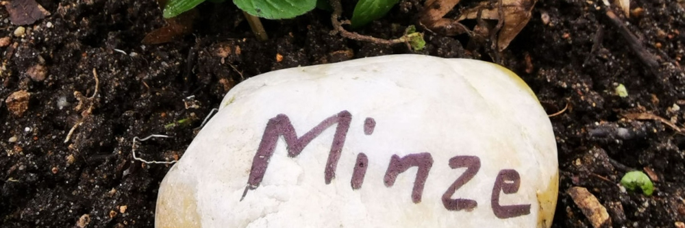 Mit guten Gartenvorsätzen ins neue Jahr