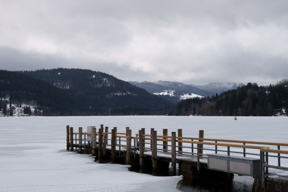Führungen zum Weltgästeführertag 2026