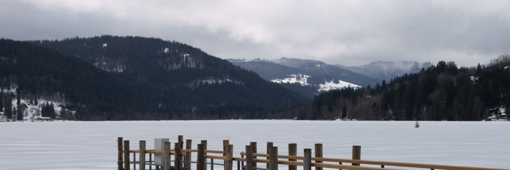 Führungen zum Weltgästeführertag 2026