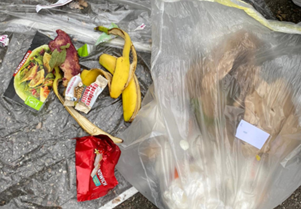 Infos über Sinn & Zweck erhöhen die Sortier-Bereitschaft