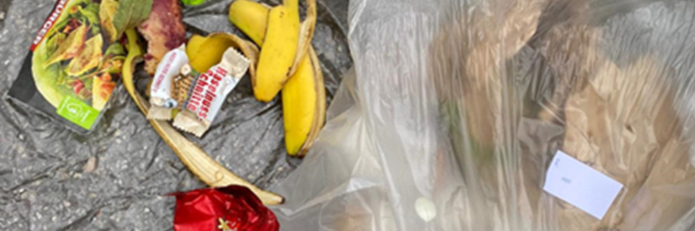 Infos über Sinn & Zweck erhöhen die Sortier-Bereitschaft