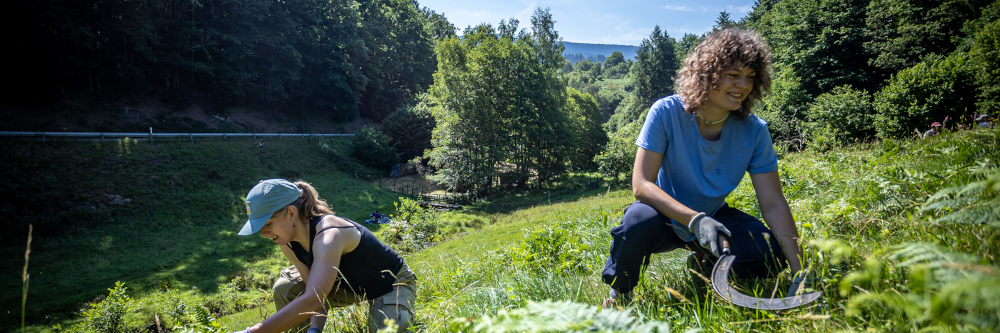 Projekt „Natur (er)leben! – Kinder- und Jugendhilfe packt an“