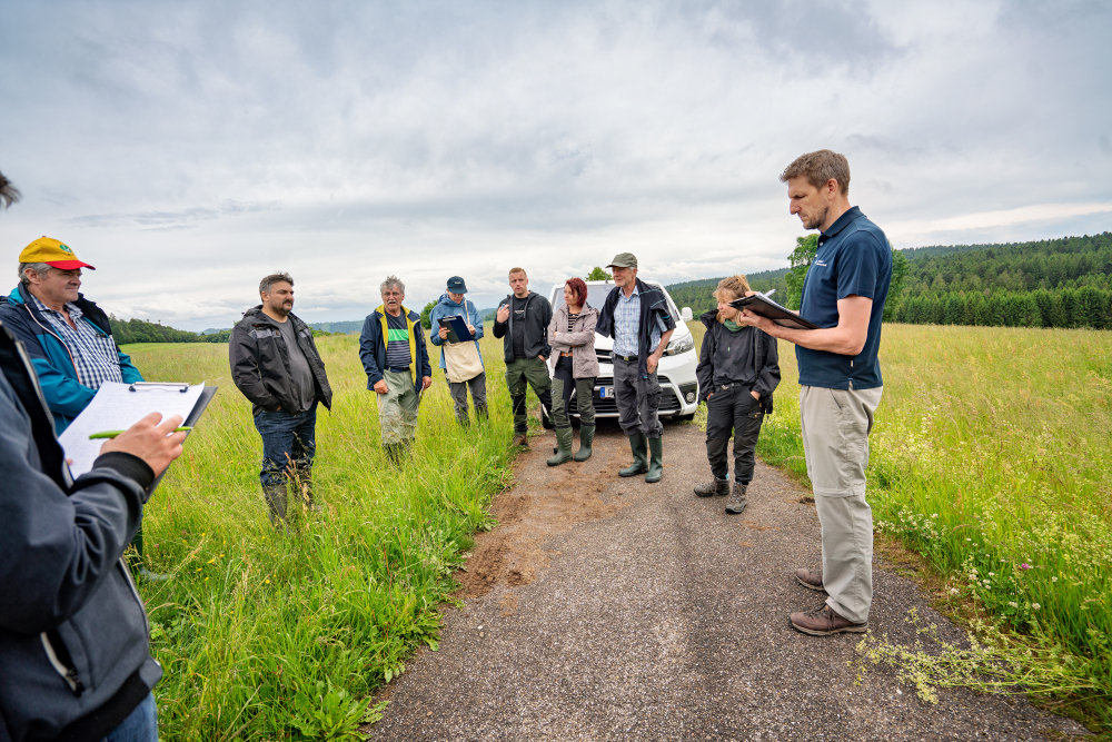 Landwirtschaftsbetriebe mit artenreichem Grünland gesucht