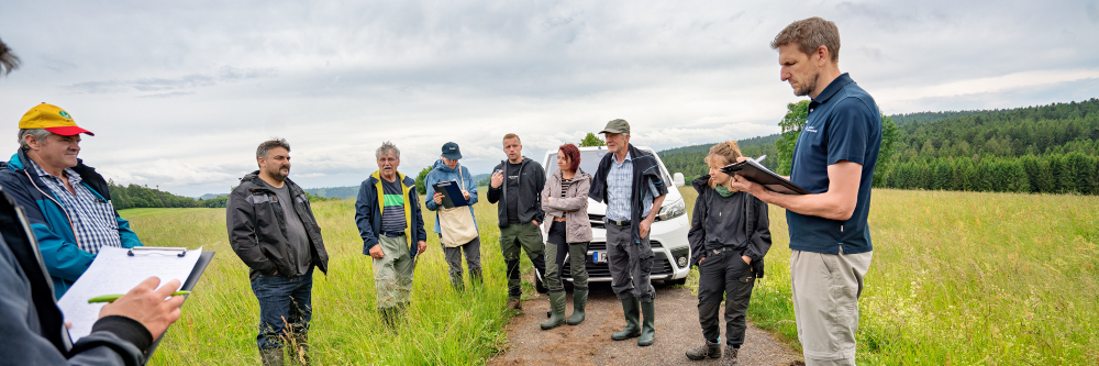 Landwirtschaftsbetriebe mit artenreichem Grünland gesucht