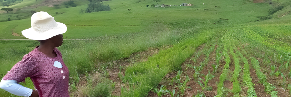 Weltwassertag 2026: „Wasser ist Leben“