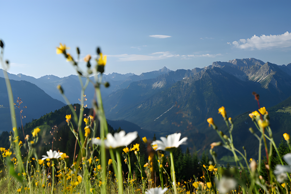 Vom Real-Labor zur gesundheitserprobten Praxis