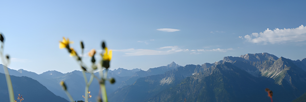 Vom Real-Labor zur gesundheitserprobten Praxis