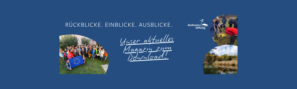 Webinar zur Klimaanpassung von Sozialunternehmen