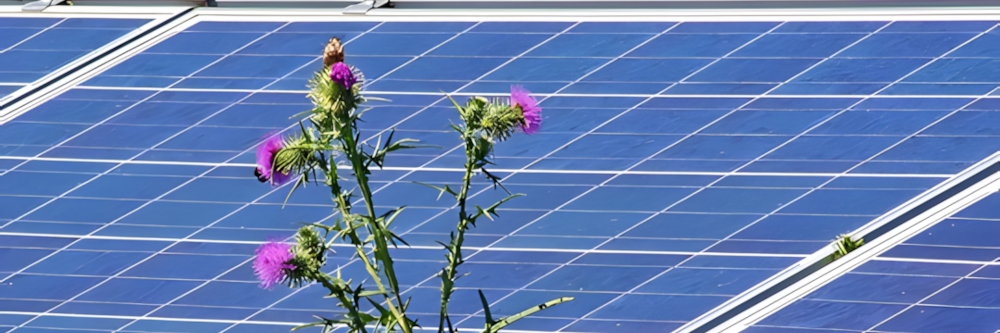 Jetzt reicht es: „Reiche muss weg!“