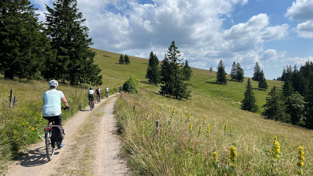 Mit dem E-Bike den Feldberg entdecken