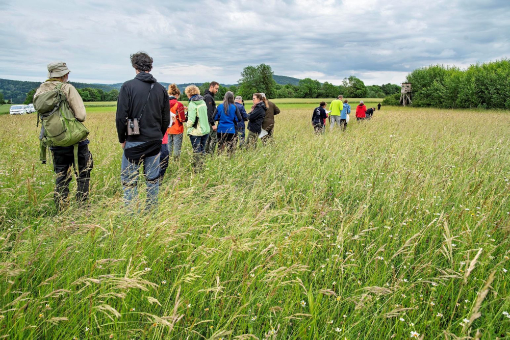 Wiesenmeisterschaft 2026 im Naturpark Südschwarzwald – Die Preisträger stehen fest