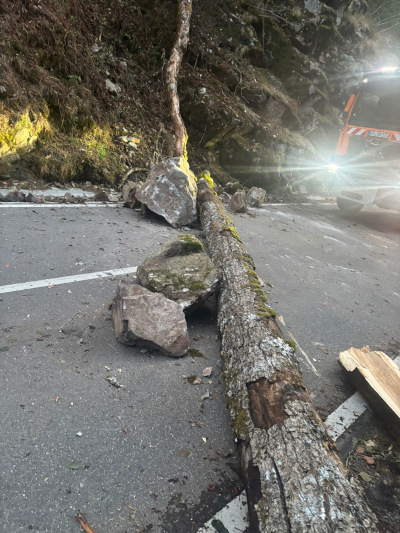 Bäume Felsen auf Straße