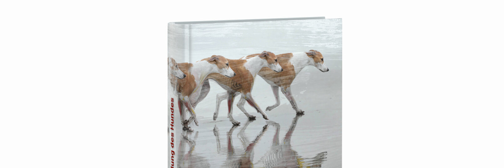 Neues VDH-Fachbuch: Zur Entwicklung des Hundes