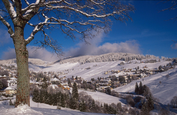 Vermarktung der „Bergwelt Todtnau“ seit Januar 2015 unter der Marke Hochschwarzwald