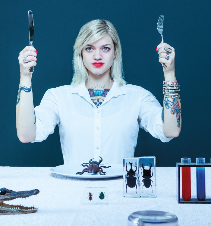 Hochstehendes Insekten-Dinner