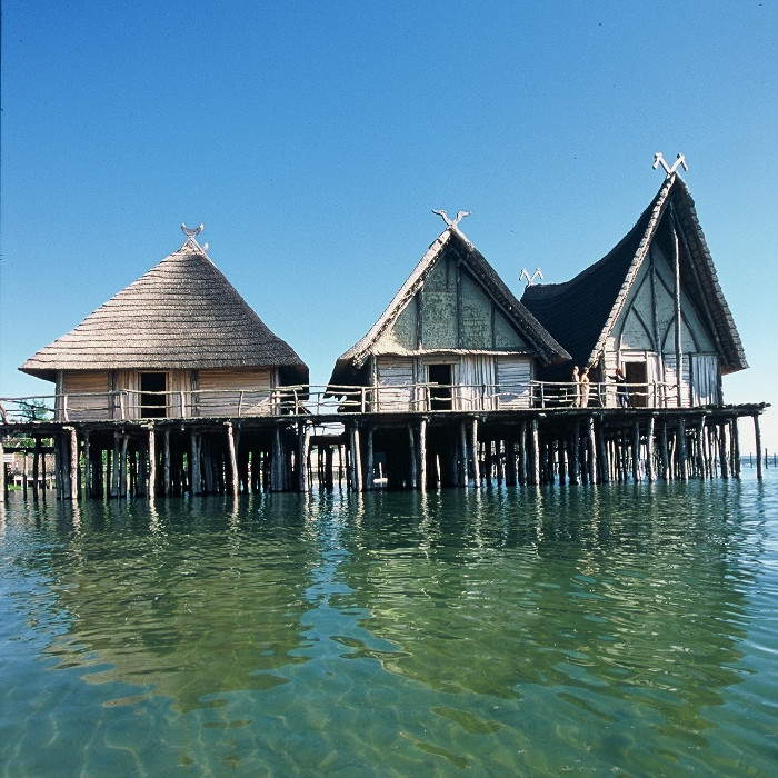 Hopfen und Malz – trank es der Pfahlbauer auch?