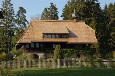 Hüsli mit neuem Dach 22.4.11 w