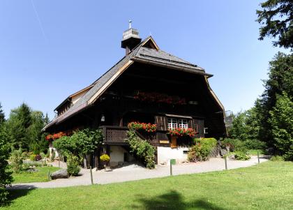 Frühling im Hüsli w