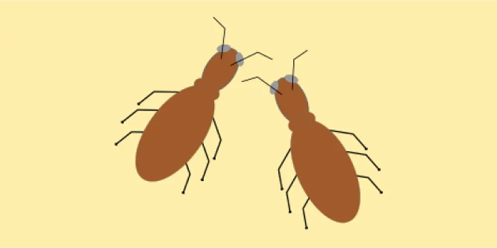 krabbelt auch!