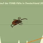 Verlauf der gemeldeten FSME-Fälle 