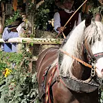 Festumzug beim Roßfest
