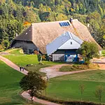 U(h)rwaldpfad Rohrhardsberg