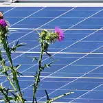Photovoltaik