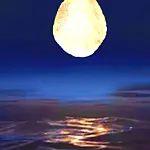 The Island is a Reflection