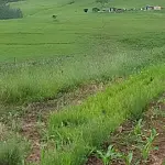 South Africa Drakensberg