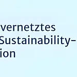 Systemisch-vernetztes Denken und Sustainability-Transformation
