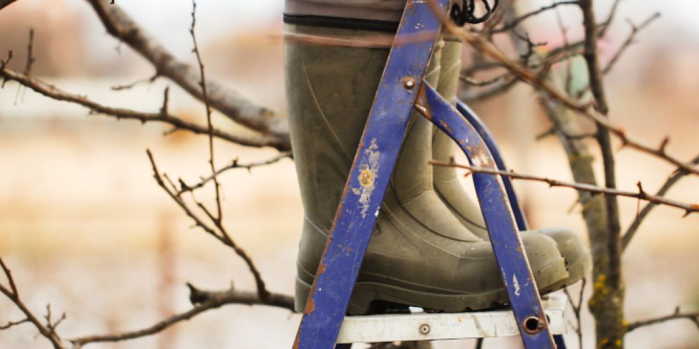 Frühsport für den grünen Daumen