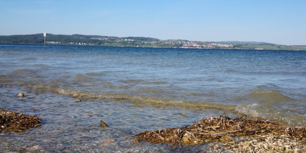 Mikroplastik-Einträge in den Bodensee: Kommunen können dagegen aktiv werden