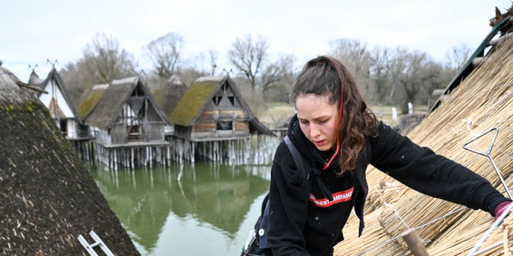 Neue Schilfdächer für die Pfahlbauten in Unteruhldingen