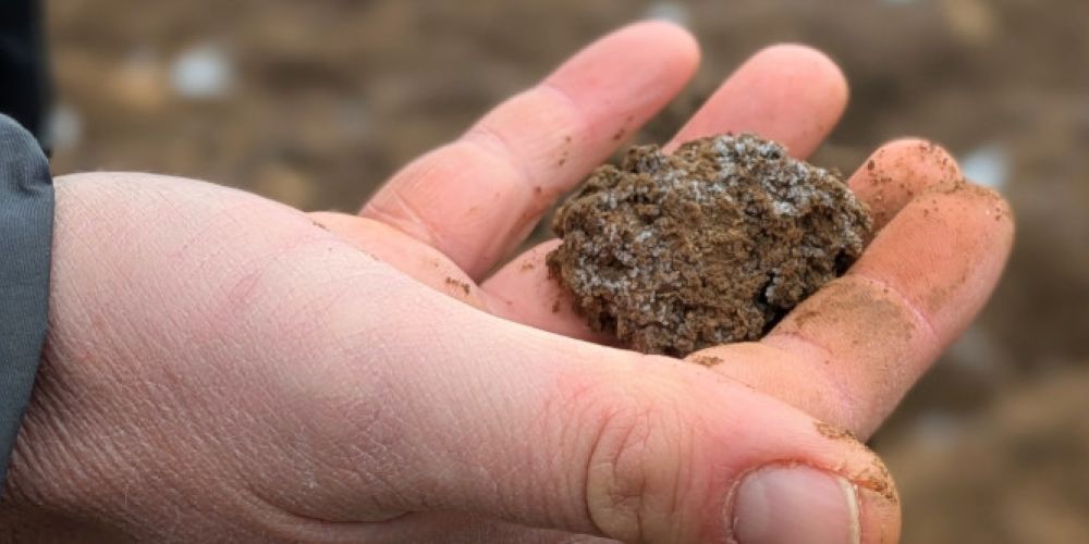 Stühlingen geht Wasserschutz proaktiv an