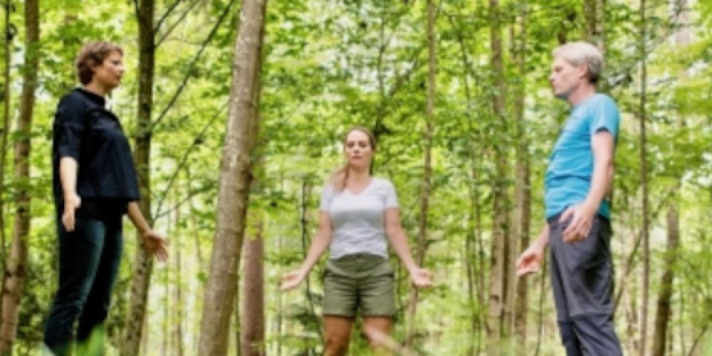 Ein Kur- und Heilwald für Europas Heilbad Nummer 1