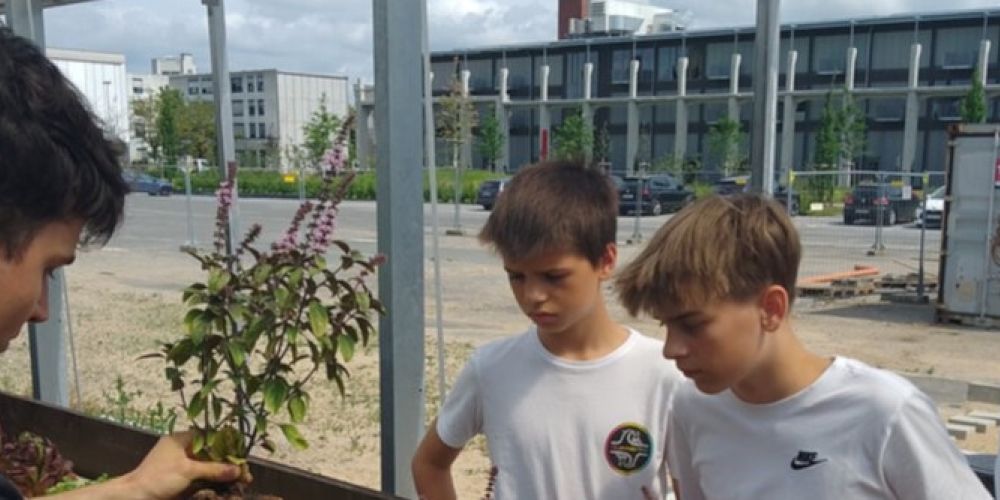 Bischöfliche Marienschule Mönchengladbach besucht Aquaponik-Anlage „Urban Nature“ in Düsseldorf