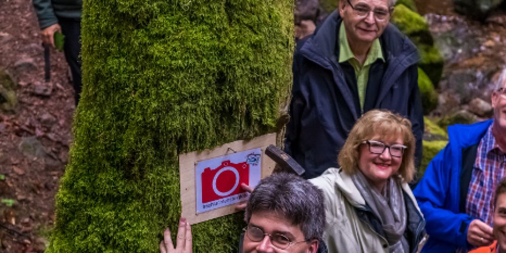 Schluchtensteig als starker Wirtschaftsfaktor