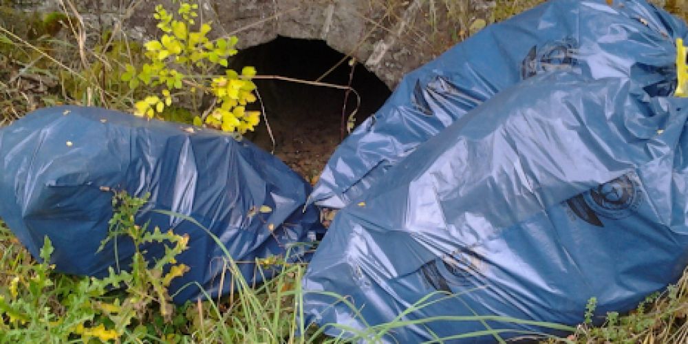 DBU Naturerbe mahnt zu mehr Achtsamkeit