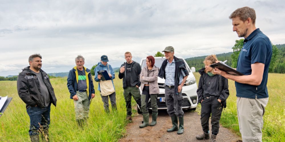 Landwirtschaftsbetriebe mit artenreichem Grünland gesucht