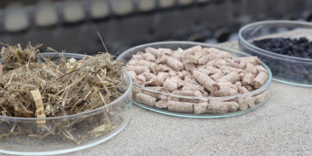 Sauberes Wasser mit nachwachsenden Rohstoffen